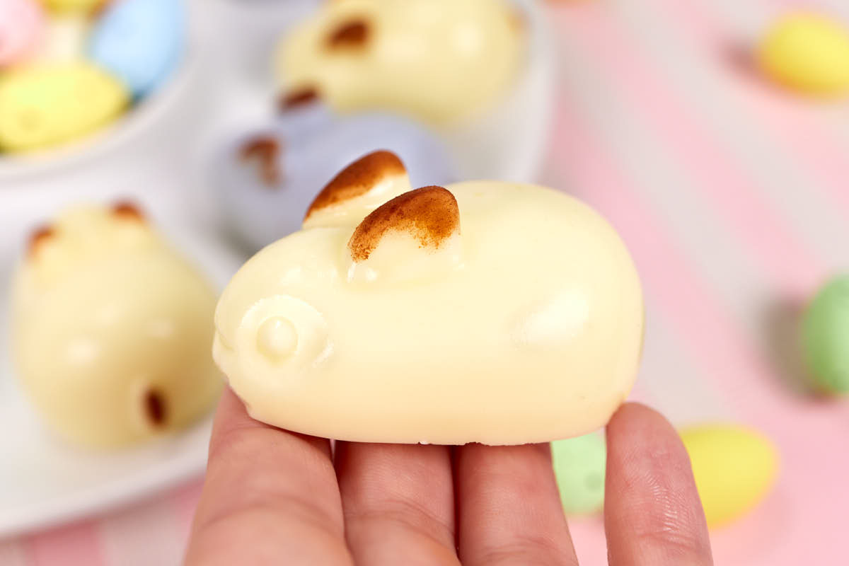 Jello jiggler bunny with cocoa powder on ears.