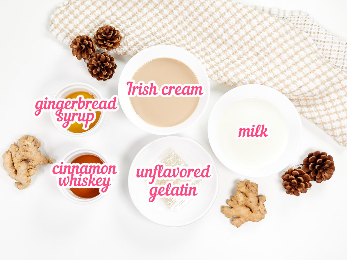 Gathered ingredients for gingerbread Fireball and Baileys jello shots.